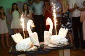 v_kam_2016_7648