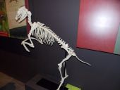 DSCN3895
