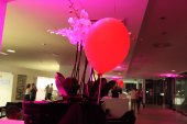 img_6461